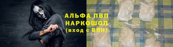 PSILOCYBIN Галич