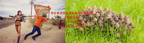 прущий лед Пролетарск