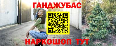 крисы Беслан
