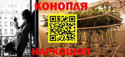 крисы Беслан