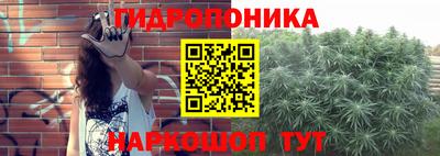 PSILOCYBIN Бийск