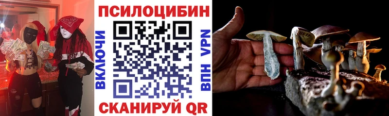 наркота  Богданович  Галлюциногенные грибы мицелий 
