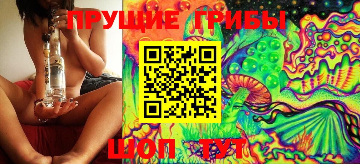 Галлюциногенные грибы прущие грибы Богданович