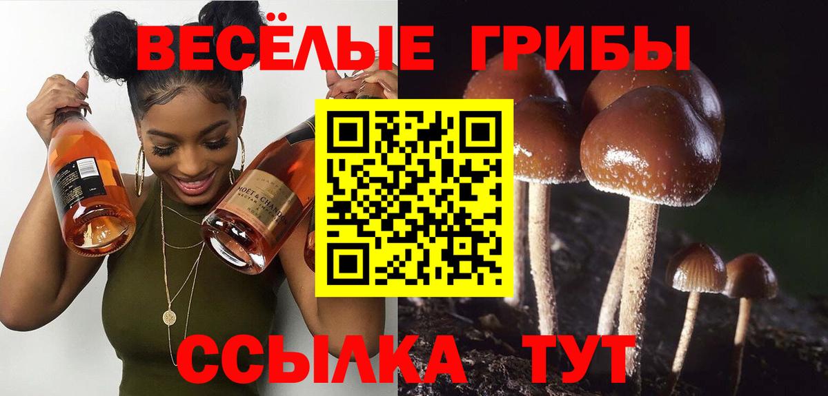 Галлюциногенные грибы мухоморы Богданович