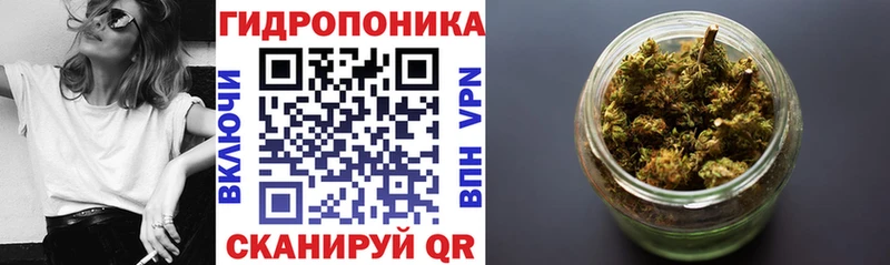 OMG зеркало  Богданович  Шишки марихуана семена  как найти закладки 