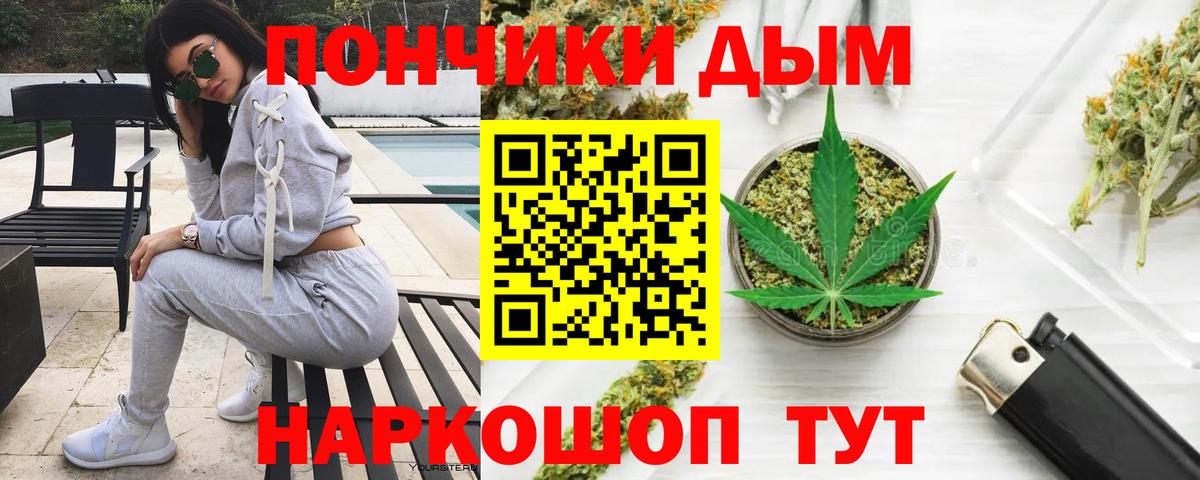 Бошки марихуана сатива Богданович